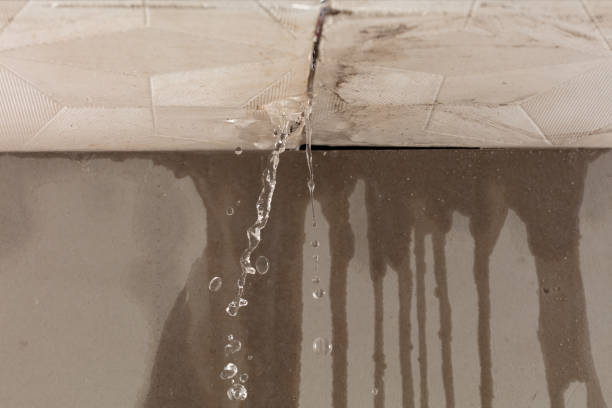 Professional Structural Drying technician working in Kensington, CT